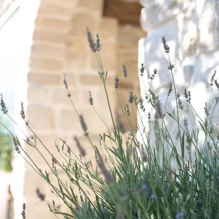 Maslina, Gornje - Makarska Villa Tučepi