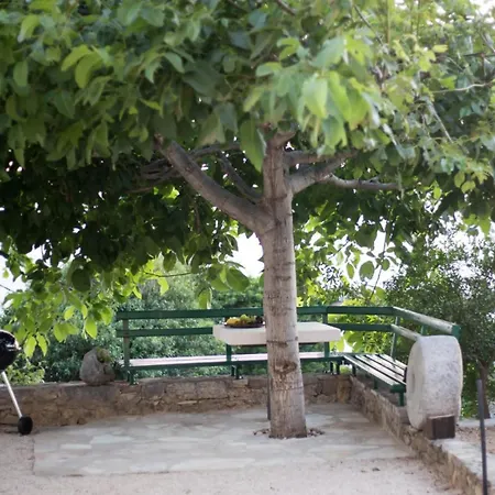 Maslina, Gornje - Makarska Villa Tučepi